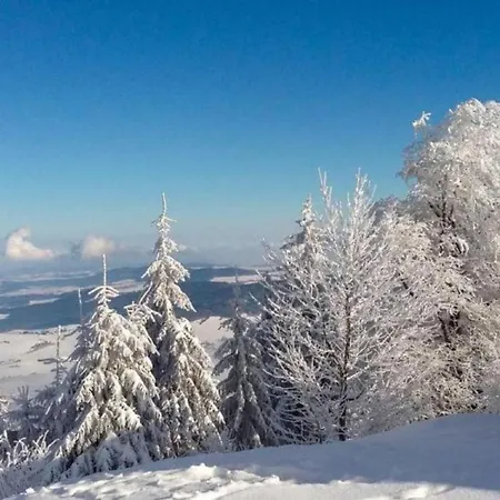 Am Hohen Bogen - Haus 66 * Arrach