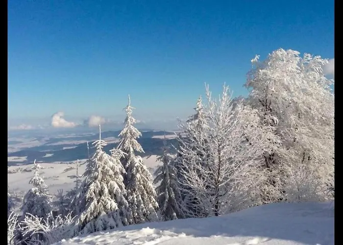 Am Hohen Bogen - Haus 66 * Arrach